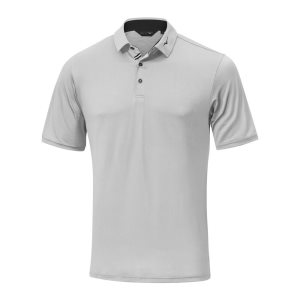 Mizuno Move Tech Quick Dry Polo Oberteile Herren Grau | 605-ERMUZG