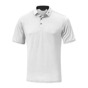 Mizuno Move Tech Quick Dry Polo Oberteile Herren Weiß | 932-LTUBEK