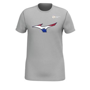Mizuno Nevobo Nederland T-shirt Oberteile Herren Rot | 972-KWIFGM
