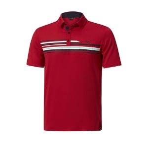 Mizuno Qd Elite Stripe Polo Oberteile Herren Rot | 284-DTIROZ