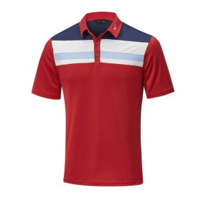 Mizuno Quick Dry Citizen Polo Oberteile Herren Rot | 208-RGYEDQ