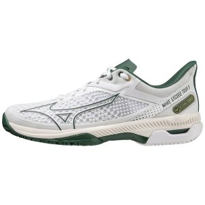 Mizuno Wave Exceed Tour 5 Cc Tennisschuhe Damen Weiß | 397-DEVIFX