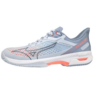 Mizuno Wave Exceed Tour 5 Cc Tennisschuhe Damen | 687-WYNACU
