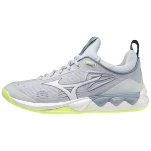 Mizuno Wave Luminous 2 Volleyballschuhe Damen Grau | 327-DEAHLI