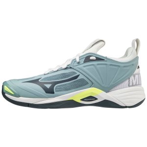 Mizuno Wave Momentum 2 Volleyballschuhe Damen Blau | 192-RJVBMS