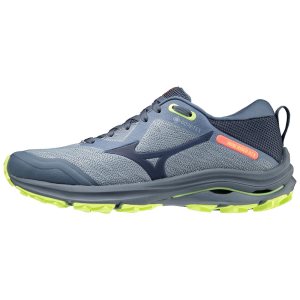 Mizuno Wave Rider Gtx Trailrunning Schuhe Damen | 756-HGBYCQ
