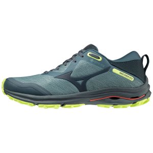 Mizuno Wave Rider Gtx Trailrunning Schuhe Herren | 856-THELWR